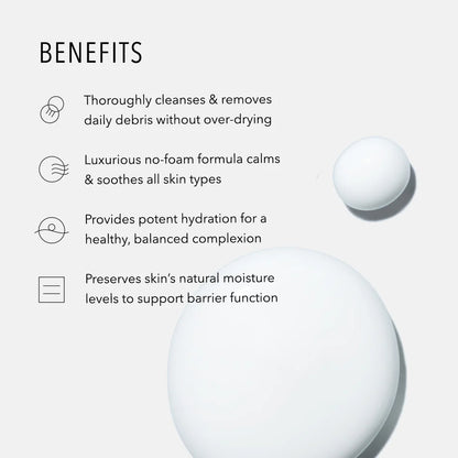HydroPeptide®  Cashmere Cleanse - Facial Rose Milk (6.76 oz) - Available in Deluxe Travel Size